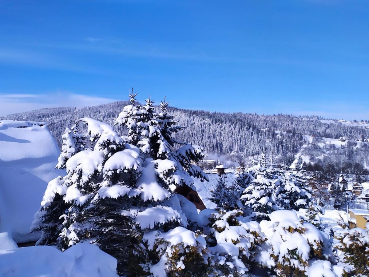 Apartament Nr 4 U Miska Z Dwoma Sypialniami Zakopane Esterno foto